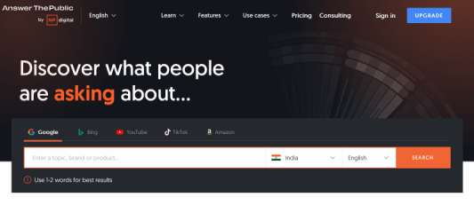AnswerThePublic AI tool