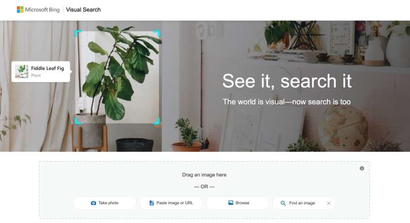 Bing Visual Search lets you explore the web using a picture instead of text.