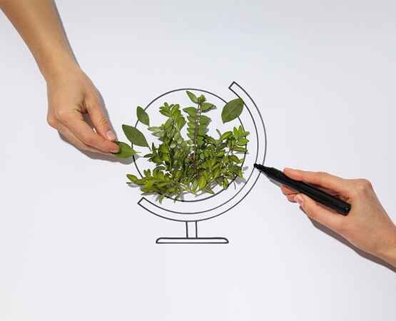 A hand holding a magnifying glass over a sprig of fresh herbs or a small plant, symbolizing detailed research, organic product focus, and the precision of the delivered e-commerce solution.